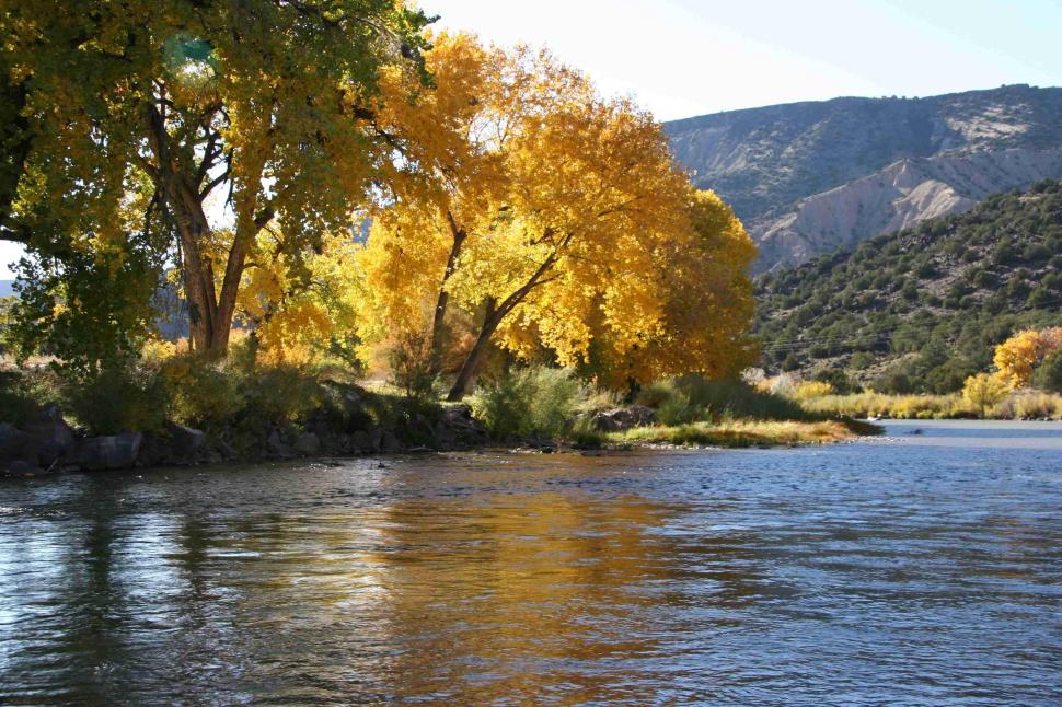 The Rio Grande in New Mexico (photo by Ron Gardner)